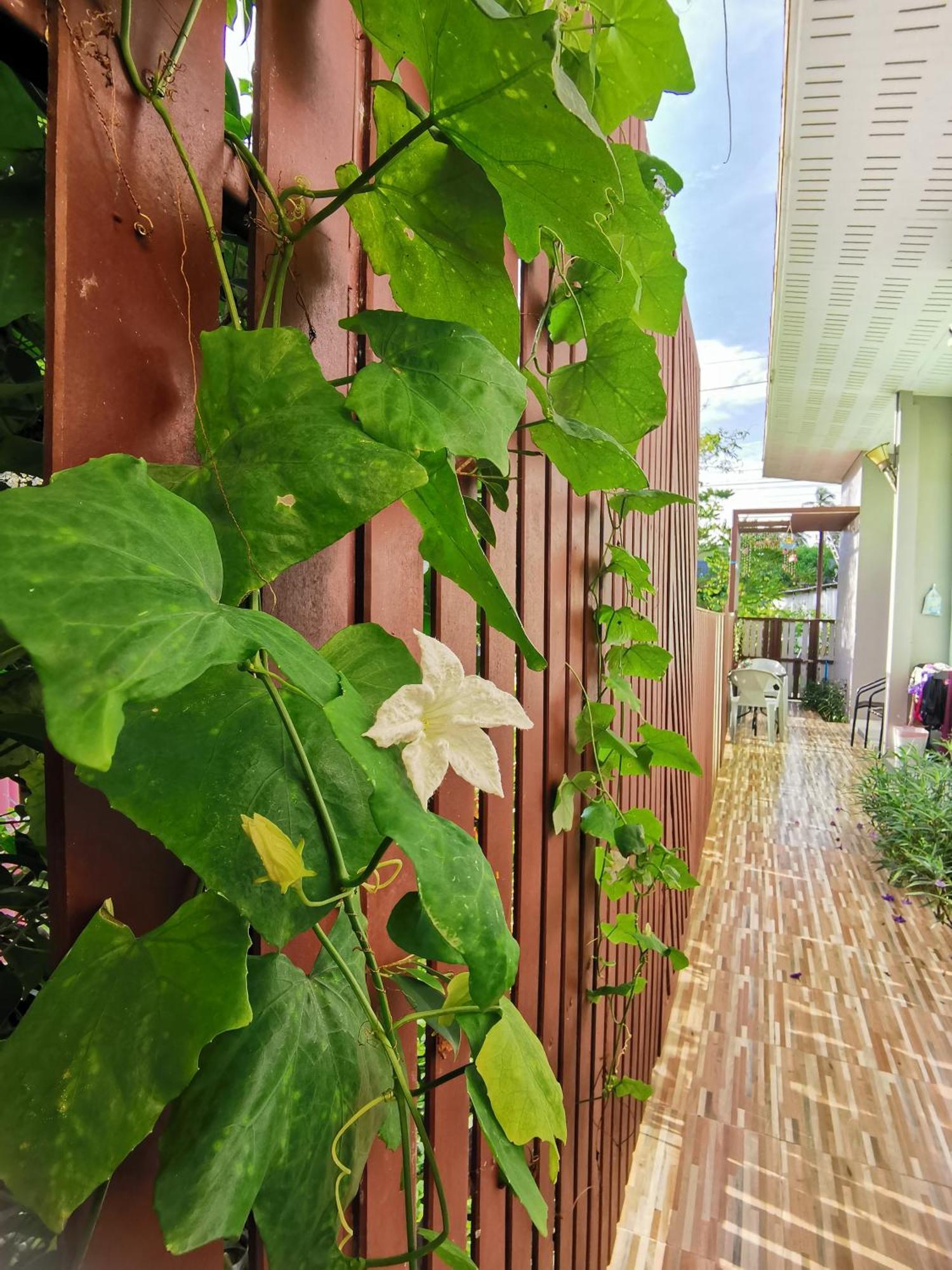 兰达酒店 Ko Lanta 客房 照片